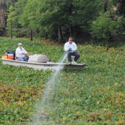 Aquatic Crew in boat