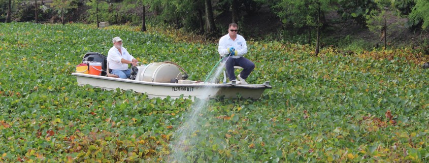 Aquatic Crew in boat