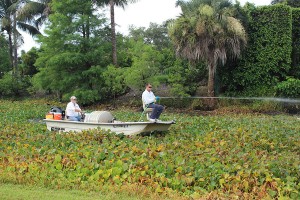 Canal vegetation being sprayed