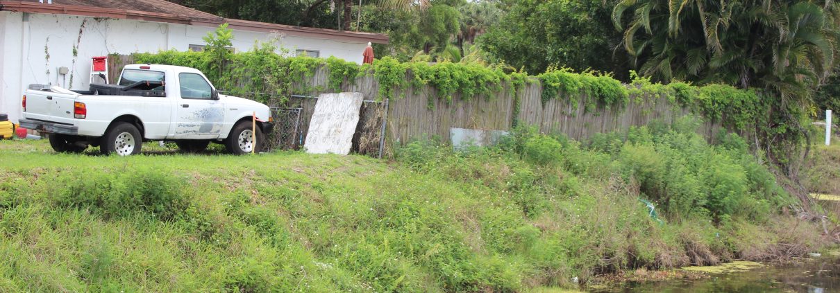 Canal before maintenance with encroachments