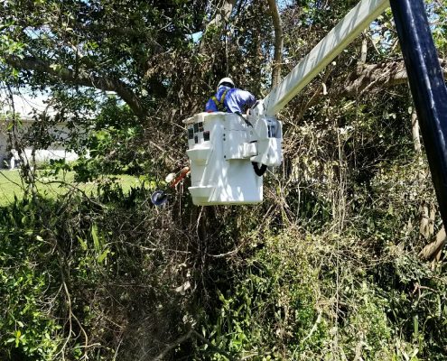 Recovery Crew cutting fallen tree to clear access