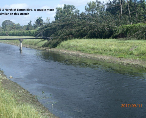 Downed tree E-3 Canal north of Linton Blvd. - blocked right-of-way