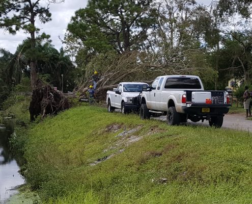 Downed tree L-12 Canal - fallen tree blocking roadway