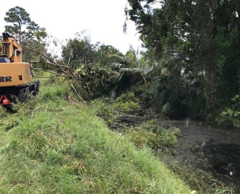 Vegetation in L-29 East of Military - removal of vegetation from canal