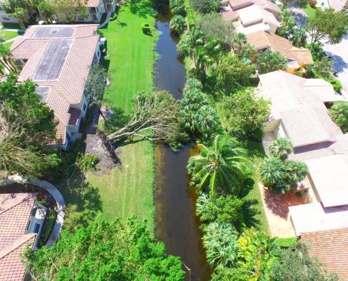 Downed tree L-46W Canal