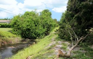 L-50 Canal east Boca Raton After Hurricane Irma