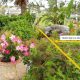 Backyard landscaping encroaching on right of way