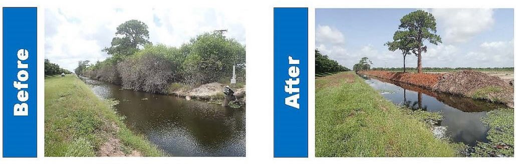 Photos of before and after canal maintenance
