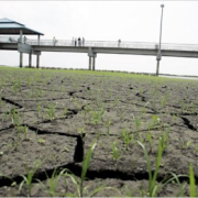 Lake Okeechobee Drought 2007