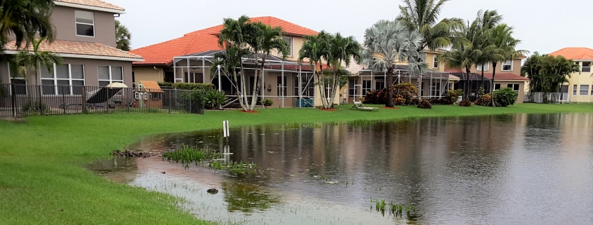 Community Pond