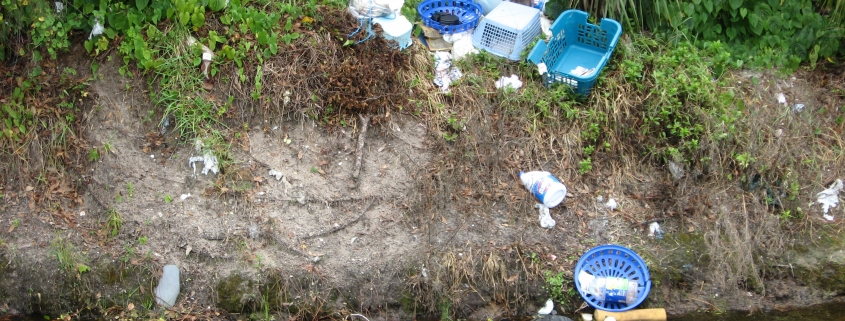 Trash dumped on right-of-way