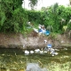 Trash Dump on canal