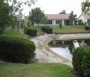 Photo of low water level in pond