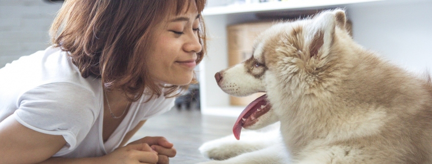 woman with a dog