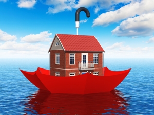 Cartoon of house in water
