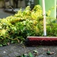 Broom cleaning up vegetation