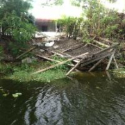 Fallen tree and fence on canal right of way