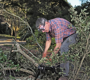 Man with chain saw cutting up fallen tree branches