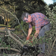 Man with chain saw cutting up fallen tree branches