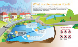 stormwater pond graphic