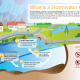 stormwater pond graphic