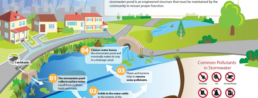 stormwater pond graphic