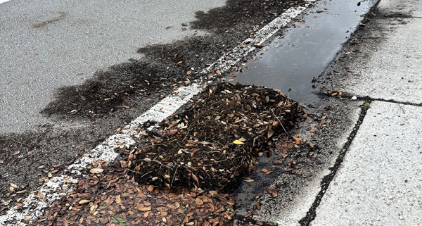Roadway storm drain blocked by fallen leaves